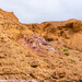 Colours of Negev III.
