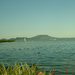 balaton