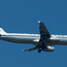 D-AIRX (A320-131) 1998.10.01.