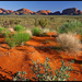 Outback landscape - Olgas