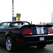 Ford Mustang Roush GT Convertible