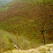 Bükk Mountains (Hungary) - Hór Valley2 2009