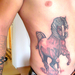 Cowpie tattoo Püspökhatvan 06-70-423-6481