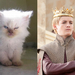 Game-Of-Thrones-Characters-as-Cats-5
