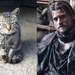 the-game-of-thrones-cast-as-cats06