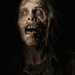 The Walking Dead - Season 4 - New Cast and Promotional Photos (6