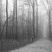 A sétaúton kissé ritkul a köd