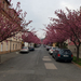 Alsólővér utca, Sopron
