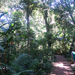 Iguazu 061