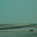 Repülõtér - Doha - 76