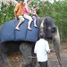 Indiai elefánt - 18