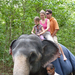 Indiai elefánt - 22