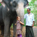Indiai elefánt - 61