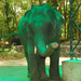 Indiai elefánt - 102