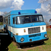 IFA W50