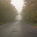 Ködös őszi út