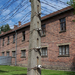 Auschwitz-Birkenau (19)