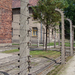 Auschwitz-Birkenau (20)