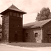 Auschwitz-Birkenau (27)