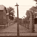 Auschwitz-Birkenau (28)