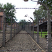 Auschwitz-Birkenau (30)