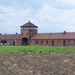 Auschwitz-Birkenau (31)