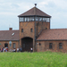 Auschwitz-Birkenau (32)