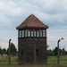 Auschwitz-Birkenau (42)