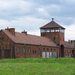 Auschwitz-Birkenau (43)