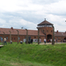 Auschwitz-Birkenau (46)