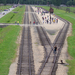 Auschwitz-Birkenau (49)