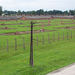 Auschwitz-Birkenau (51)