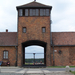 Auschwitz-Birkenau (59)