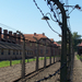 Auschwitz-Birkenau (69)