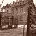 Auschwitz-Birkenau (71)