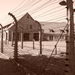 Auschwitz-Birkenau (72)