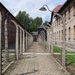 Auschwitz-Birkenau (89)