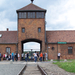 Auschwitz-Birkenau (91)