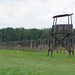 Auschwitz-Birkenau (92)