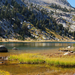 US12 0924 058 Elisabeth Lake, Yosemite NP, CA