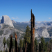US12 0926 025 Yosemite NP, CA