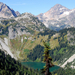 US13 0914 014 Maple Loop Trail, North Cascades NP, WA