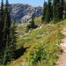 US13 0914 020 Maple Loop Trail, North Cascades NP, WA