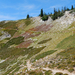 US13 0914 036 Maple Loop Trail, North Cascades NP, WA