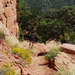 US14 0918 038 Monument Canyon Trail, Colorado NM, CO