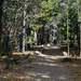 US14 0926 042 Chasm Lake Trail, Rocky Mtn NP, CO