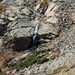 US14 0926 009 Chasm Lake Trail, Rocky Mtn NP, CO