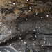 US15 0922 58 Carlsbad Caverns, NM