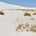 US15 0925 40 White Sands NM, NM