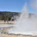 US160925 033 Yellowstone NP, WY